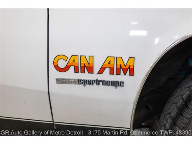 1977 Pontiac Can Am (CC-2102876) for sale in Kentwood, Michigan