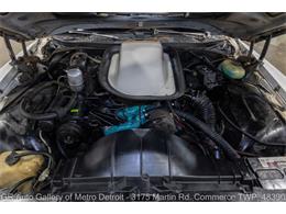 1977 Pontiac Can Am (CC-2102876) for sale in Kentwood, Michigan