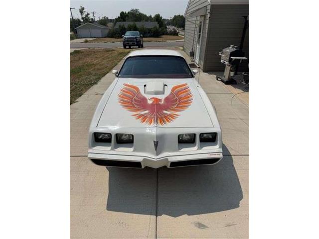 1979 Pontiac Firebird Trans Am WS6 (CC-2102937) for sale in Saratoga Springs, New York