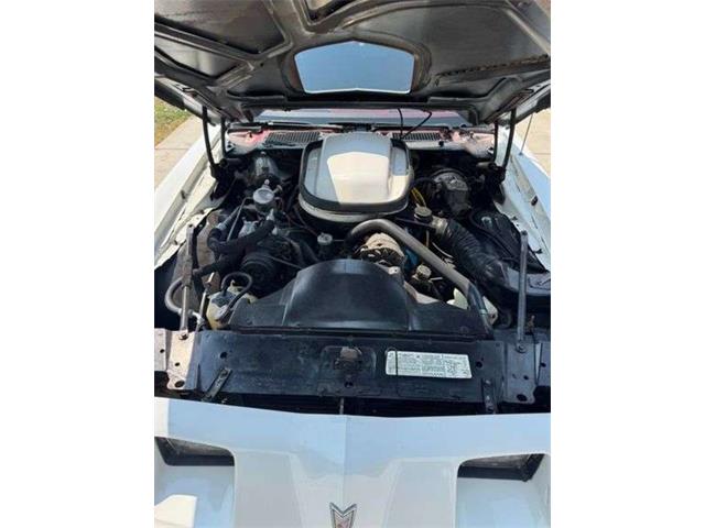 1979 Pontiac Firebird Trans Am WS6 (CC-2102937) for sale in Saratoga Springs, New York