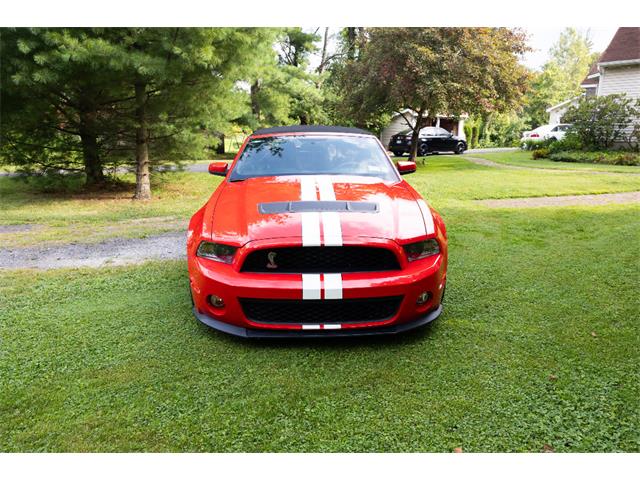 2011 Ford Convertible (CC-2102939) for sale in Saratoga Springs, New York