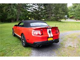 2011 Ford Convertible (CC-2102939) for sale in Saratoga Springs, New York