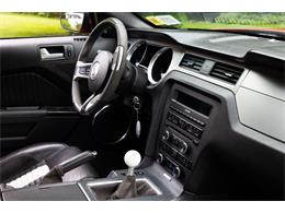 2011 Ford Convertible (CC-2102939) for sale in Saratoga Springs, New York