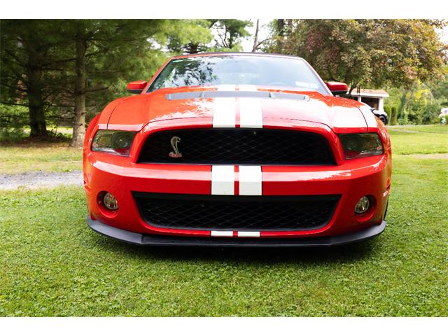 2011 Ford Convertible (CC-2102939) for sale in Saratoga Springs, New York
