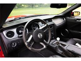 2011 Ford Convertible (CC-2102939) for sale in Saratoga Springs, New York