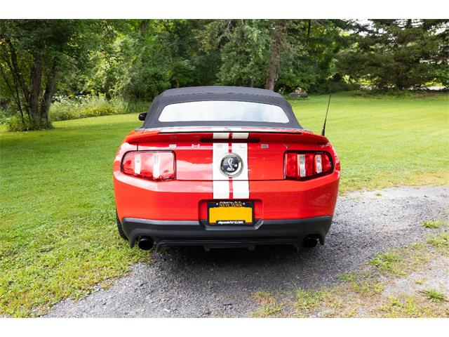 2011 Ford Convertible (CC-2102939) for sale in Saratoga Springs, New York