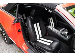 2011 Ford Convertible (CC-2102939) for sale in Saratoga Springs, New York
