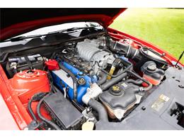 2011 Ford Convertible (CC-2102939) for sale in Saratoga Springs, New York