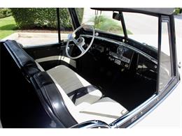 1951 Willys Jeepster (CC-2102957) for sale in Sarasota, Florida