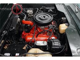 1979 International Scout (CC-2103011) for sale in Statesville, North Carolina