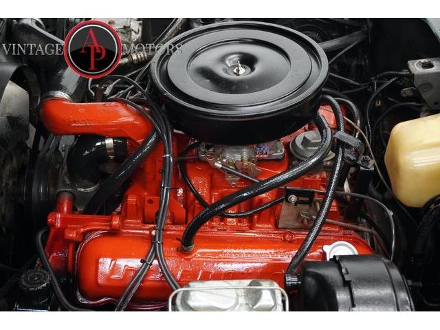 1979 International Scout (CC-2103011) for sale in Statesville, North Carolina