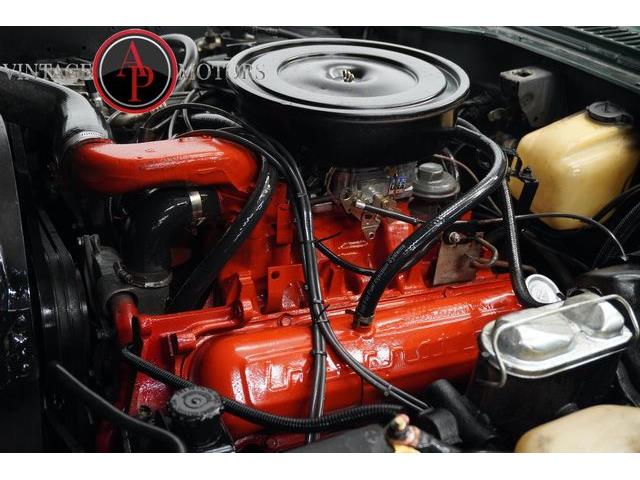 1979 International Scout (CC-2103011) for sale in Statesville, North Carolina