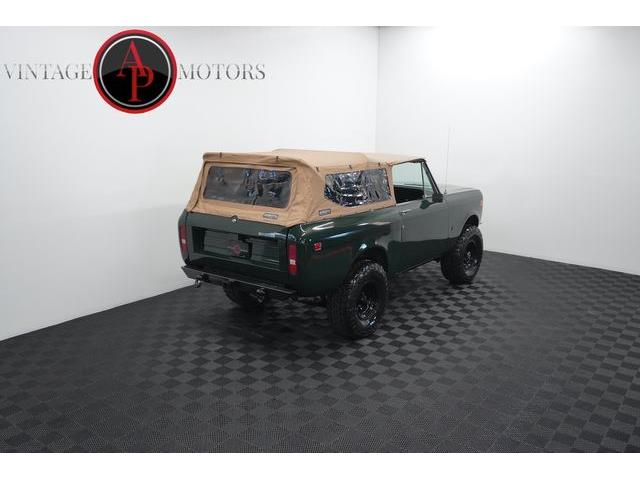 1979 International Scout (CC-2103011) for sale in Statesville, North Carolina