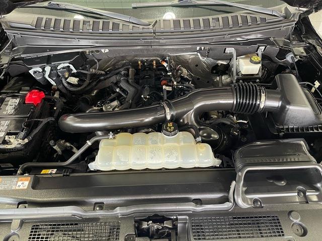 2024 Ford Expedition (CC-2103017) for sale in Jacksonville, Florida