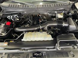 2024 Ford Expedition (CC-2103017) for sale in Jacksonville, Florida