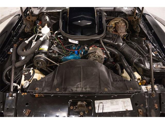 1979 Pontiac Firebird Trans Am (CC-2103018) for sale in Bristol, Pennsylvania