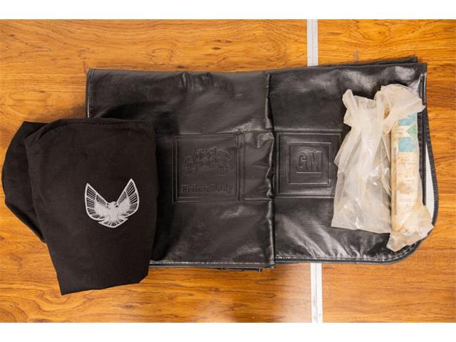 1979 Pontiac Firebird Trans Am (CC-2103018) for sale in Bristol, Pennsylvania