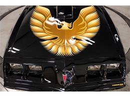 1979 Pontiac Firebird Trans Am (CC-2103018) for sale in Bristol, Pennsylvania