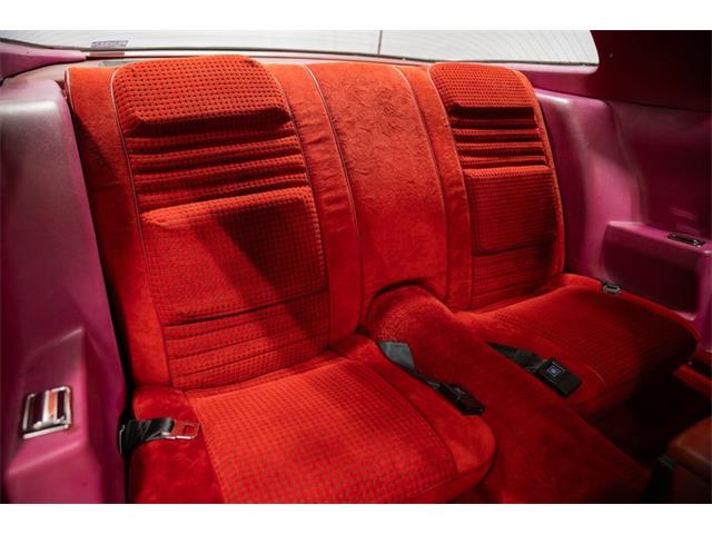 1979 Pontiac Firebird Trans Am (CC-2103018) for sale in Bristol, Pennsylvania