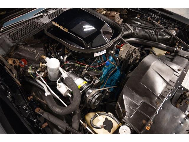 1979 Pontiac Firebird Trans Am (CC-2103018) for sale in Bristol, Pennsylvania