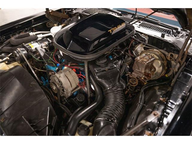 1979 Pontiac Firebird Trans Am (CC-2103018) for sale in Bristol, Pennsylvania