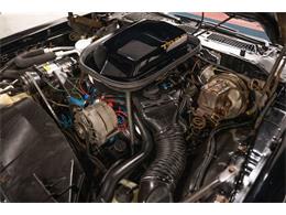 1979 Pontiac Firebird Trans Am (CC-2103018) for sale in Bristol, Pennsylvania