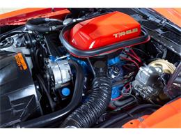 1978 Pontiac Firebird Trans Am (CC-2103032) for sale in Rockville, Maryland