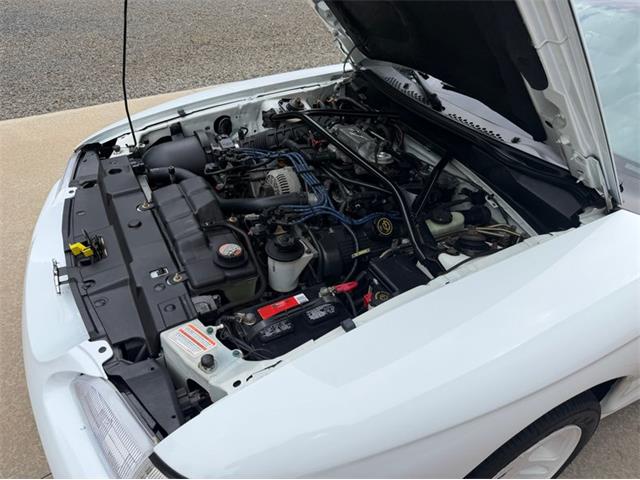 1997 Ford Mustang (CC-2103042) for sale in Newfield, New Jersey