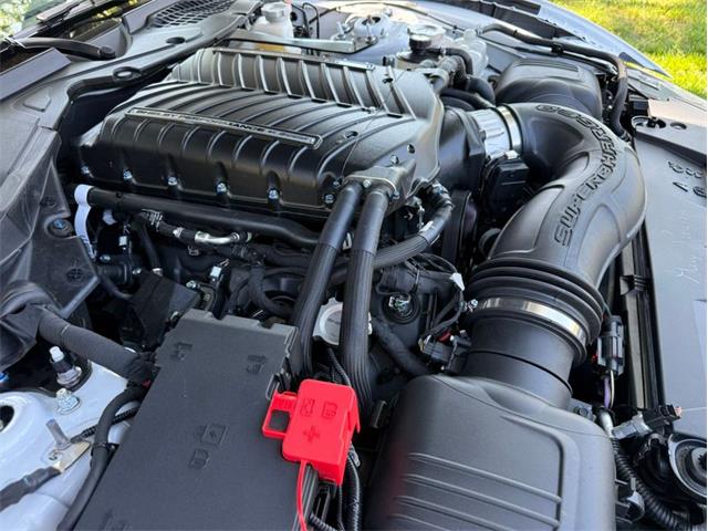 2025 Ford Mustang (CC-2103095) for sale in Greensboro, North Carolina