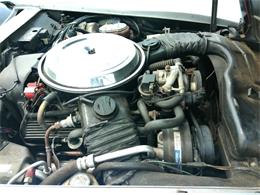 1981 Chevrolet Corvette (CC-2103112) for sale in Greenville, North Carolina