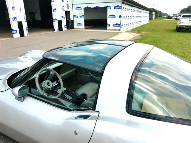 1981 Chevrolet Corvette (CC-2103112) for sale in Greenville, North Carolina