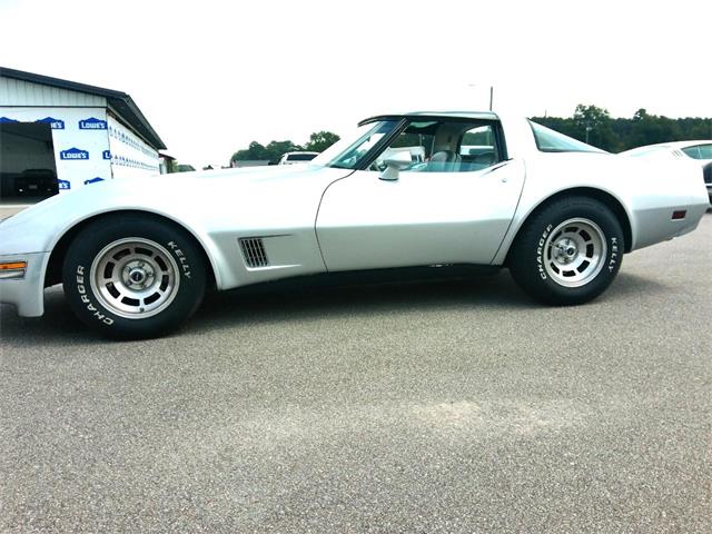 1981 Chevrolet Corvette (CC-2103112) for sale in Greenville, North Carolina