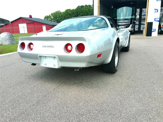 1981 Chevrolet Corvette (CC-2103112) for sale in Greenville, North Carolina