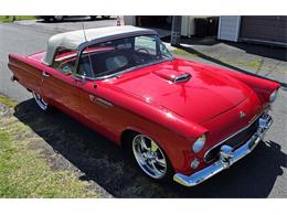 1955 Ford Thunderbird (CC-2103159) for sale in Baltimore, Maryland
