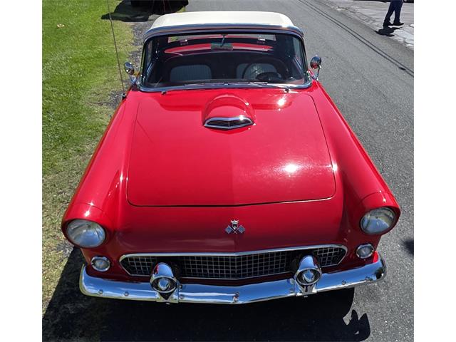 1955 Ford Thunderbird (CC-2103159) for sale in Baltimore, Maryland
