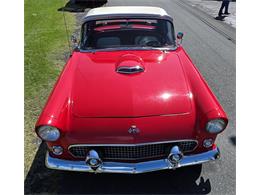1955 Ford Thunderbird (CC-2103159) for sale in Baltimore, Maryland