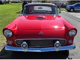 1955 Ford Thunderbird (CC-2103159) for sale in Baltimore, Maryland