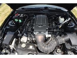 2007 Ford Mustang GT/CS (California Special) (CC-2103161) for sale in Finksburg, Maryland