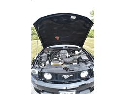 2007 Ford Mustang GT/CS (California Special) (CC-2103161) for sale in Finksburg, Maryland
