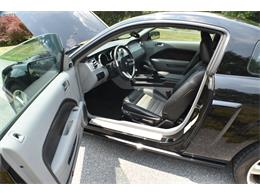 2007 Ford Mustang GT/CS (California Special) (CC-2103161) for sale in Finksburg, Maryland