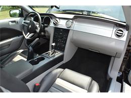 2007 Ford Mustang GT/CS (California Special) (CC-2103161) for sale in Finksburg, Maryland