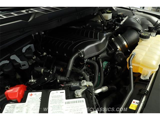 2023 Ford F150 (CC-2103198) for sale in Lutz, Florida
