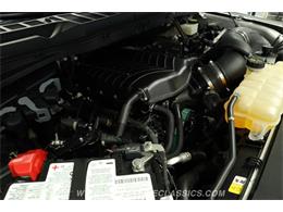 2023 Ford F150 (CC-2103198) for sale in Lutz, Florida