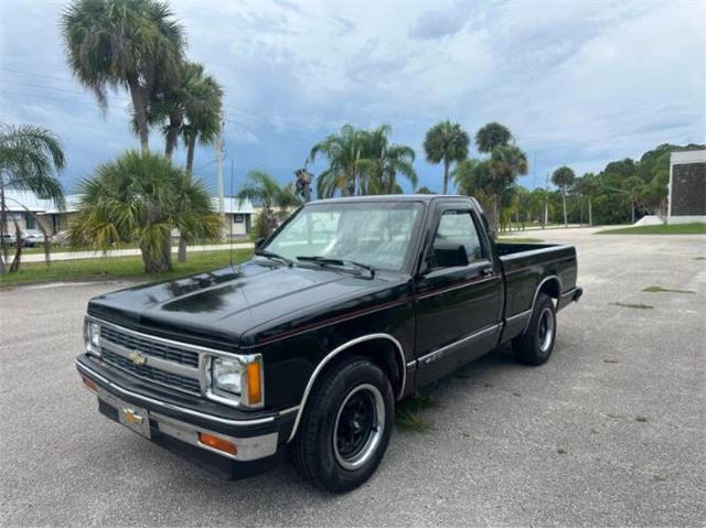 1991 Chevrolet S10 (CC-2103239) for sale in Cadillac, Michigan