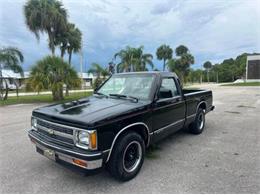1991 Chevrolet S10 (CC-2103239) for sale in Cadillac, Michigan