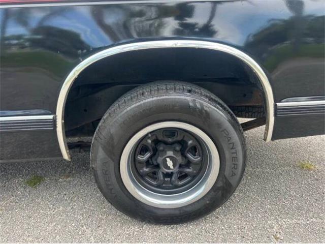 1991 Chevrolet S10 (CC-2103239) for sale in Cadillac, Michigan