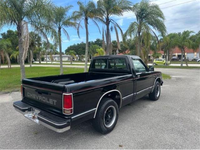 1991 Chevrolet S10 (CC-2103239) for sale in Cadillac, Michigan