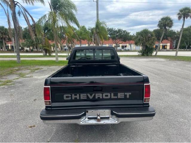1991 Chevrolet S10 (CC-2103239) for sale in Cadillac, Michigan