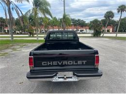 1991 Chevrolet S10 (CC-2103239) for sale in Cadillac, Michigan