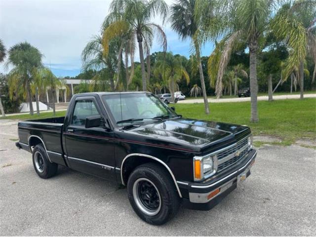 1991 Chevrolet S10 (CC-2103239) for sale in Cadillac, Michigan